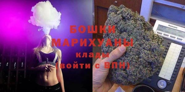 индика Михайлов