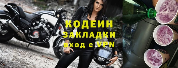 индика Михайлов